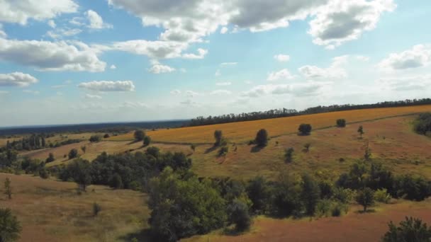 Vista aérea de Green Fields y Hills en el campo, Green Valley, Village Skyline — Vídeos de Stock