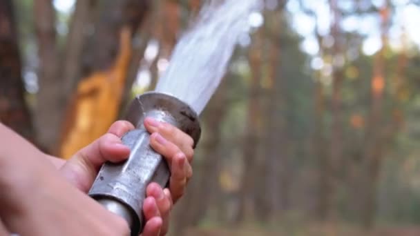 Дети держат в руках пожарный шланг, из которого течет вода в сосновом лесу — стоковое видео