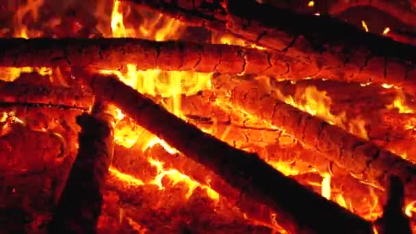 Grand feu de camp des branches brûlent la nuit dans la forêt. Mouvement lent — Video