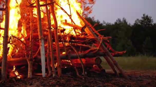 Gran fogata de troncos arde por la noche en el bosque — Vídeos de Stock