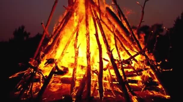 Das große Lagerfeuer der Baumstämme brennt nachts im Wald. Zeitlupe in 180 fps — Stockvideo