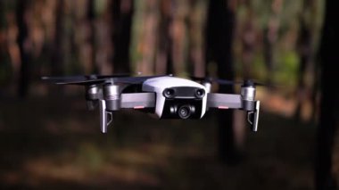 Havada Kameralı Drone. Ormanda yerden uçar. Yavaş Çekim