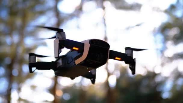 Lennokki, jolla on kamera leijuu ilmassa. Lentää maan päällä metsässä. Hidas liike — kuvapankkivideo