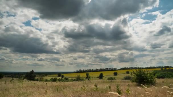 Landskap dramatiska fält och rörliga Storm moln i blå himmel. Timelapse. Fantastisk lantlig dal. Ukraina — Stockvideo