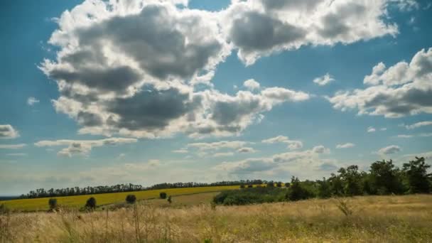 在景观场上方的蓝天中移动云。延时。惊人的乡村山谷。乌克兰 — 图库视频影像