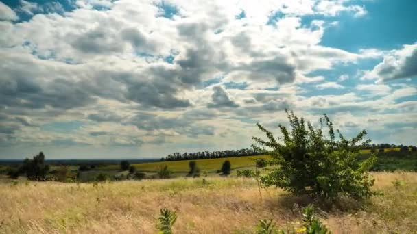 風景フィールドの上に青空に雲を移動します。タイムラプス。素晴らしい田舎の谷。ウクライナ — ストック動画
