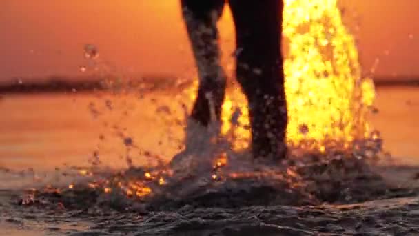 Silhouet van de poten van de jongen loopt in het water bij zonsondergang en het creëren van spatten. Slow Motion — Stockvideo