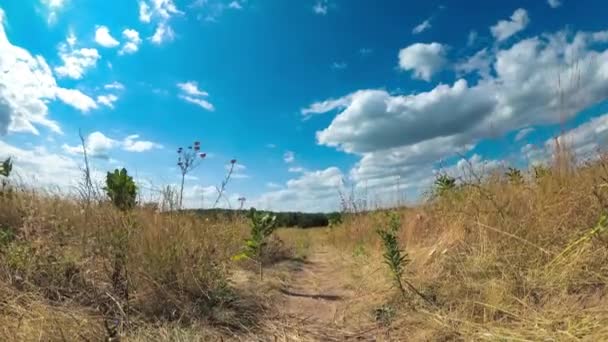 Felder mit Pfaden und beweglichen Wolken am blauen Himmel. Zeitraffer. Erstaunliches ländliches Tal. Ukraine — Stockvideo