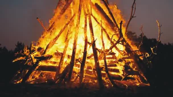 树枝的大篝火在森林中夜幕燃烧。慢动作 — 图库视频影像