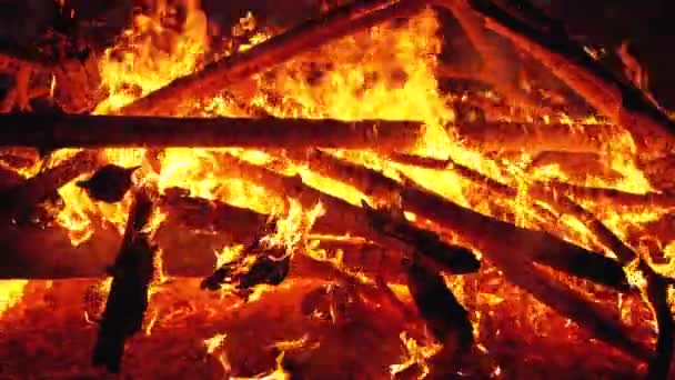 Grand feu de camp des branches brûlent la nuit dans la forêt. Mouvement lent — Video