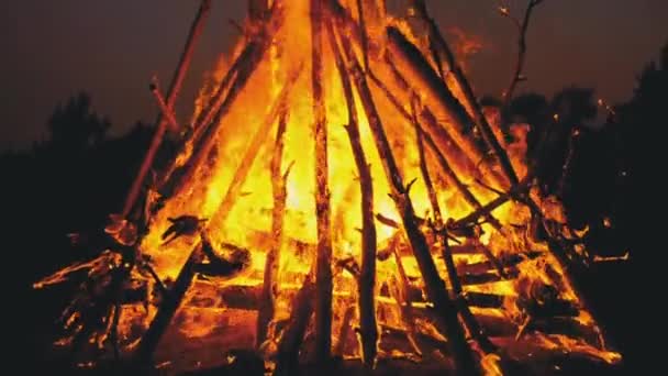 Big Bonfire z dzienników Burns w nocy w lesie. Zwolnionym tempie w 180 fps — Wideo stockowe