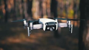 Ormanda yerden havada bir Kamera Hovers ile Drone. Yavaş Çekim.