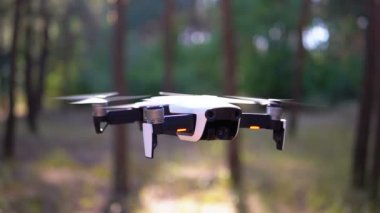 Ormanda yerden havada bir Kamera Hovers ile Drone. Yavaş Çekim.