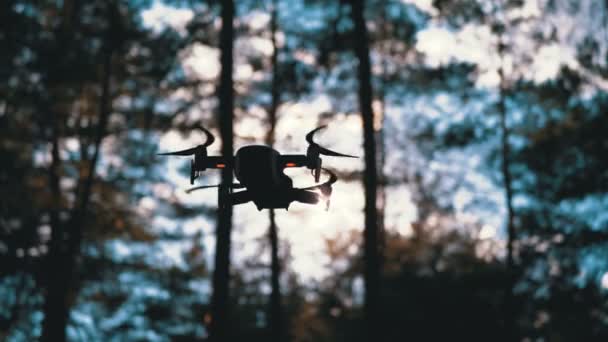 Drone avec une caméra plane dans les airs. Il vole au-dessus du sol dans la forêt. Mouvement lent 