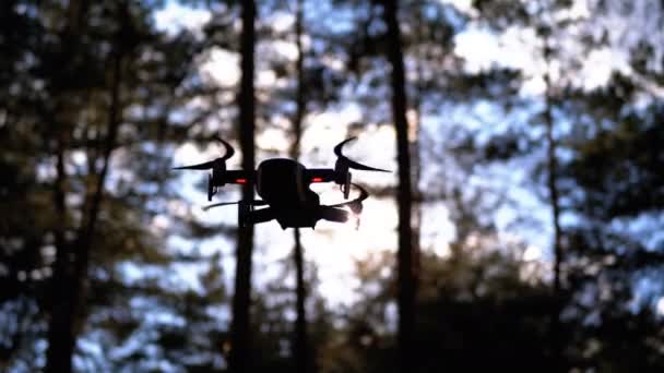 Drohne mit Kamera schwebt in der Luft. fliegt über dem Boden im Wald. Zeitlupe — Stockvideo