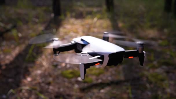 Drohne mit Kamera schwebt in der Luft über dem Boden im Wald. Zeitlupe. — Stockvideo