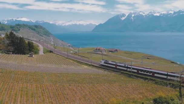 Швейцарский поезд движется вдоль живописной железной дороги на склоне холма возле Женевского озера против Альп. Швейцария — стоковое видео