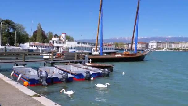 Припаркованные корабли, лодки, яхты в порту на Женевском озере, Швейцария — стоковое видео