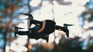Havada Kameralı Drone. Ormanda yerden uçar. Yavaş Çekim