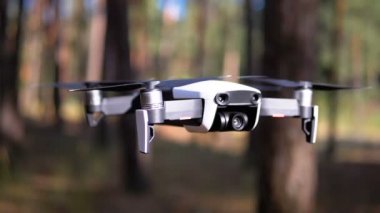 Ormanda yerden havada bir Kamera Hovers ile Drone. Yavaş Çekim.