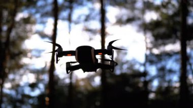 Havada Kameralı Drone. Ormanda yerden uçar. Yavaş Çekim