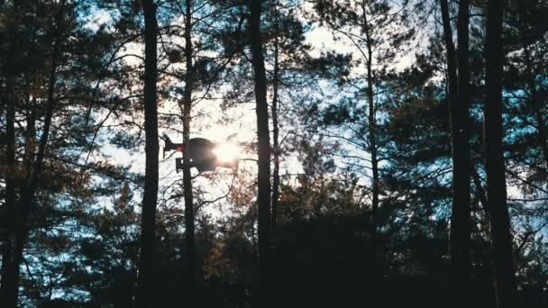 Silhueta de drone com câmera paira no ar no fundo do pôr do sol. Movimento lento — Vídeo de Stock