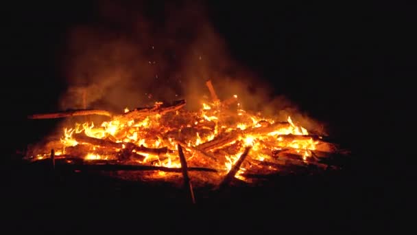 Wielkie ognisko oddziałów Burn w nocy w lesie. Zwolnionym — Wideo stockowe