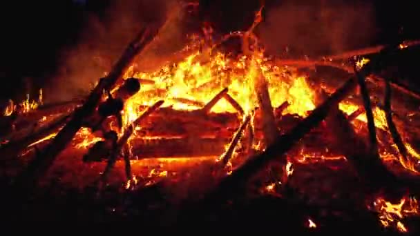 Store leirbål i skogen brenner om natten i skogen – stockvideo