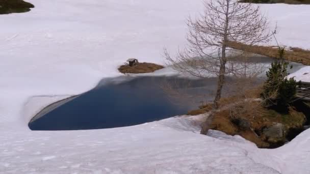 Pequeno lago ou buraco de gelo na neve nas montanhas da Suíça — Vídeo de Stock