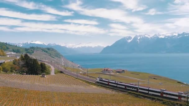 Tren suizo se mueve a lo largo de un ferrocarril escénico en una ladera cerca del lago de Ginebra contra los Alpes. Suiza — Vídeo de stock