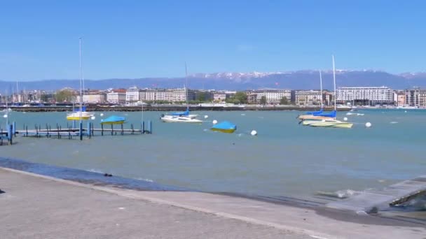 Припаркованные яхты, лодки и корабли в порту на Женевском озере, Швейцария — стоковое видео