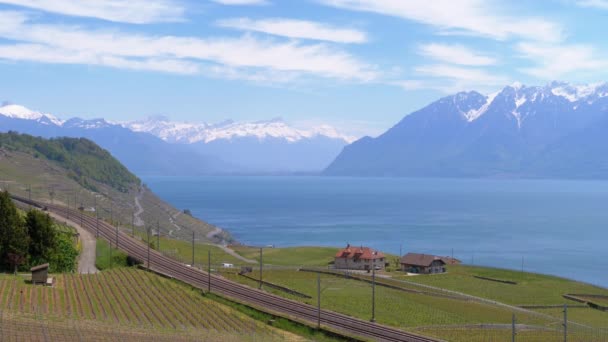 Widok z krajobrazu kolei w pobliżu Jeziora Genewskiego z winnic i Alp szwajcarskich. Szwajcaria — Wideo stockowe
