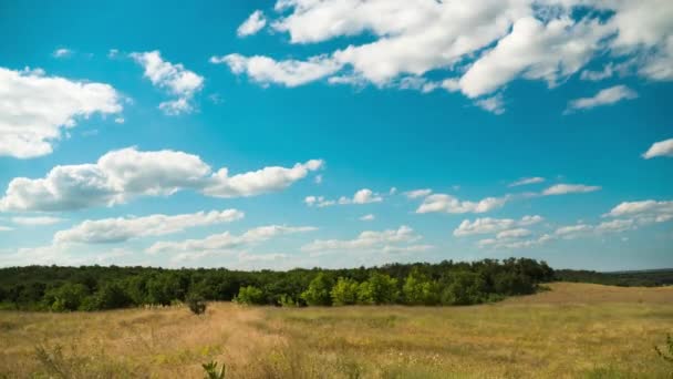 Flytta moln i blå himmel ovanför liggande fält. Timelapse. Fantastisk lantlig dal. Ukraina — Stockvideo