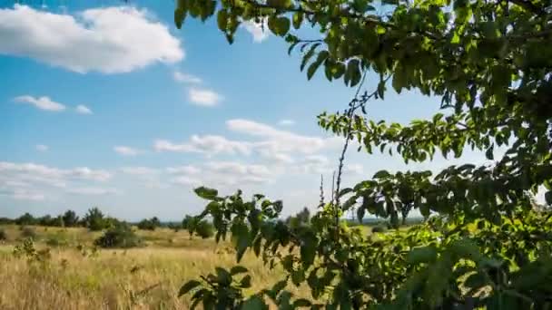 Nuvole in movimento nel cielo blu sopra i campi e gli alberi del paesaggio. Timelapse. Incredibile valle rurale. Ucraina — Video Stock