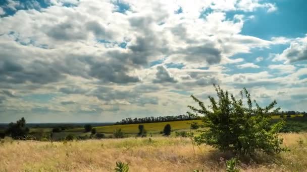Campos dramáticos del paisaje y nubes de tormenta en movimiento en el cielo azul. Timelapse. Increíble valle rural. Ucrania — Vídeo de stock