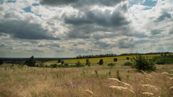 Landskap dramatiska fält och rörliga Storm moln i blå himmel. Timelapse. Fantastisk lantlig dal. Ukraina — Stockvideo
