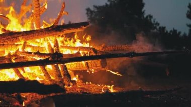 Ormanda Gece Kütükleri Yanıklar Büyük Kamp Ateşi. 180 fps'de Yavaş Çekim