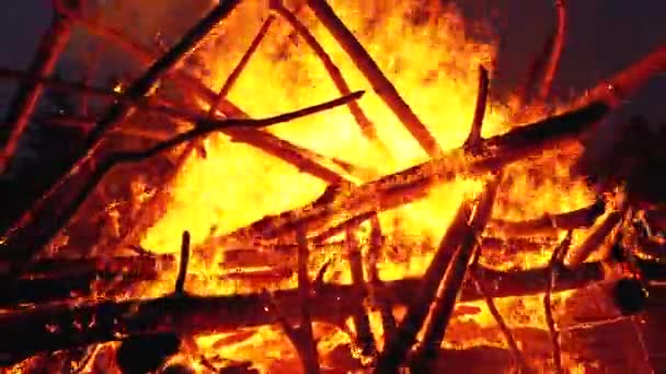 Ночью в лесу горел большой костер из бревен — стоковое видео