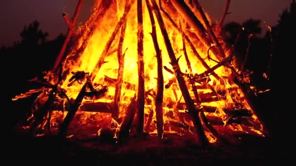 숲에서 밤에 통나무 화상의 큰 캠프 파이어. 180fps의 슬로우 모션 — 비디오