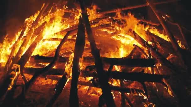 Store bål av tømmerstokkene brenner om natten i skogen. Langsom bevegelse i 180 fps. – stockvideo