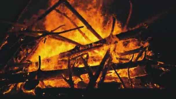 Großes Lagerfeuer der Baumstämme brennt nachts im Wald — Stockvideo