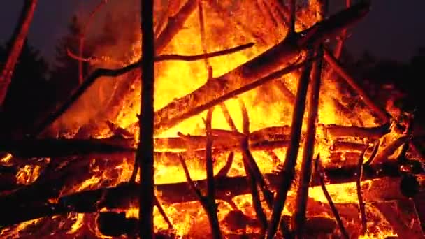 Das große Lagerfeuer der Baumstämme brennt nachts im Wald. Zeitlupe — Stockvideo