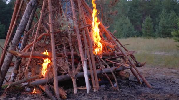 Велика багаття гілок спалюють у сутінках в лісі. Велика пожежа яскраво горить — стокове відео