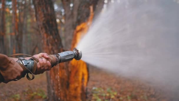 Чоловічі руки тримають пожежний шланг, з якого вода проходить під тиском в сосновому лісі — стокове відео