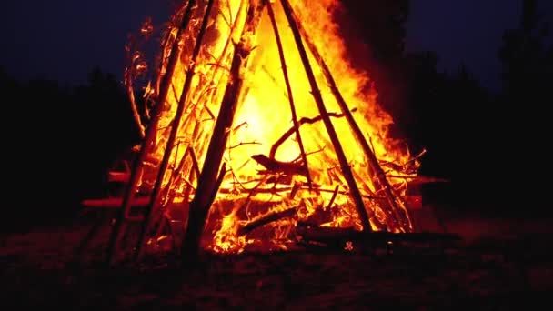 Das große Lagerfeuer der Baumstämme brennt nachts im Wald. Zeitlupe in 180 fps — Stockvideo