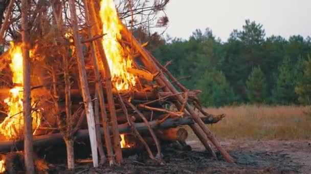 Velký Bonfire z klády spálení v noci v lese. Zpomaleně. — Stock video