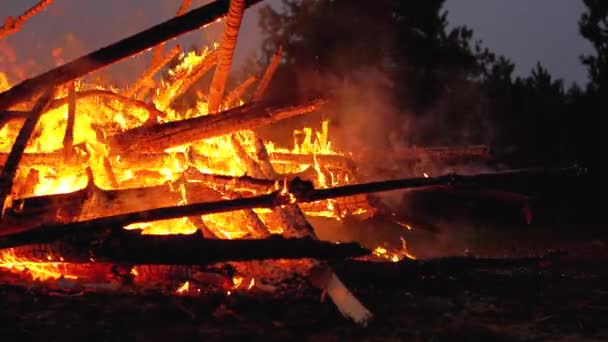 Grande fogueira das filiais Queimar à noite na floresta. Movimento lento — Vídeo de Stock