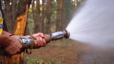 Mens Eller Çam Ormanı'nda Basınç Altında Su Çalışır Hangi Bir Yangın Hortumu tutun