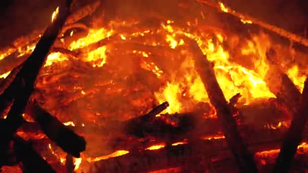 Gran fogata de las ramas arde por la noche en el bosque. Moción lenta — Vídeos de Stock