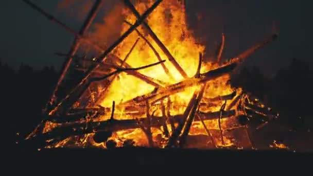 La gran hoguera de los troncos arde por la noche en el bosque — Vídeos de Stock